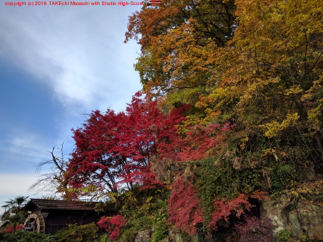 ���ռ���