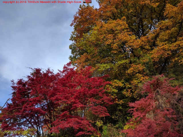 ���ռ���