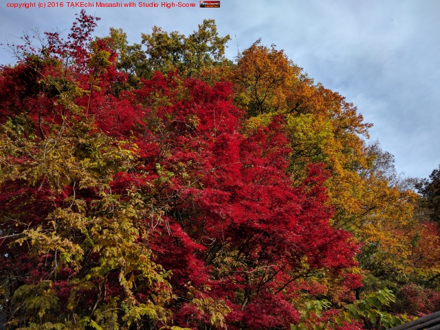 ���ռ���