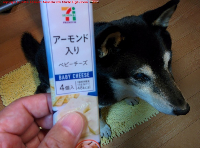 ������������٥ӡ������������֥󥤥�֥�? �ͤ������/�Ȥ�������ư�ϰ�/����ӥ������ˤ�̵�����ʤ�������Τ��