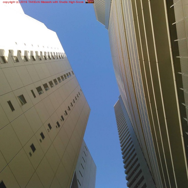 ����ŷ�� #�ӥ� #������ #�Ķ�