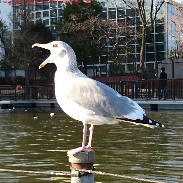 ������!!