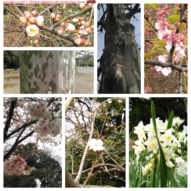 ���ɸ�� https://goo.gl/maps/sN2Lt91vdem