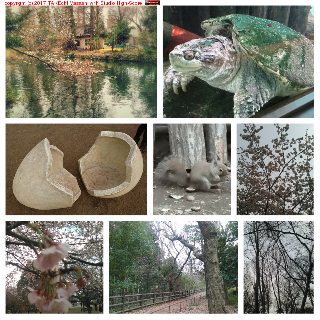 ���Ƭ������� https://goo.gl/maps/dxSrxnXv1ex