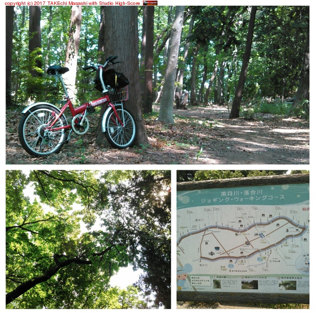 �����󥳿�����