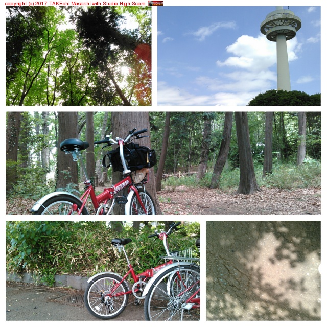 �����Ҷ���ǰ���� via �⻳���ι���