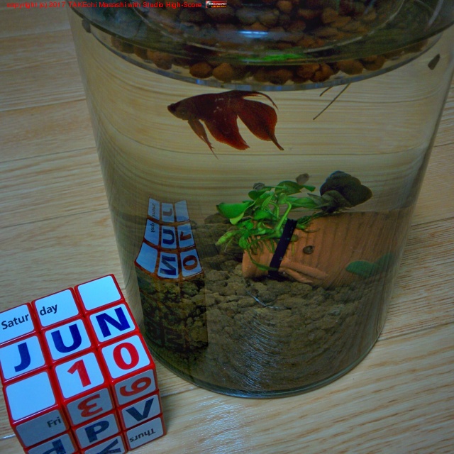 �٥����������!! #�������ܥȥ�