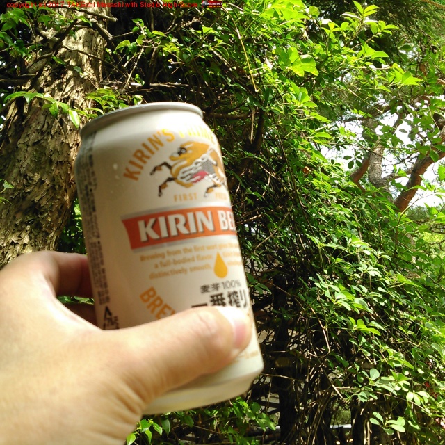 �Ф˰Ϥޤ�ư���Ǥޤ���!! #�ӡ���