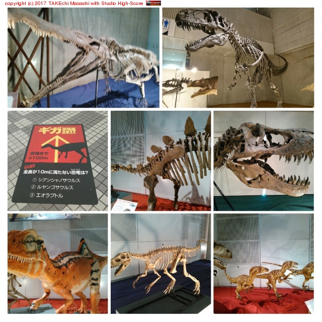 �֤�äȴѤƤ����� #������εŸ #��ĥ��å�