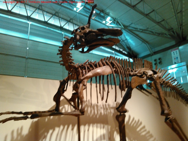 ������εŸ