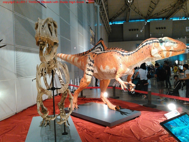 ������εŸ