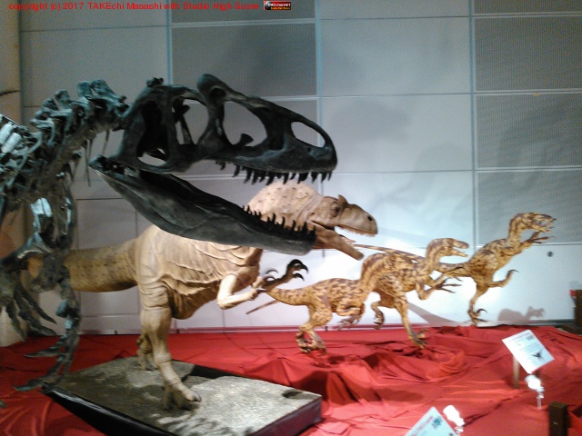 ������εŸ