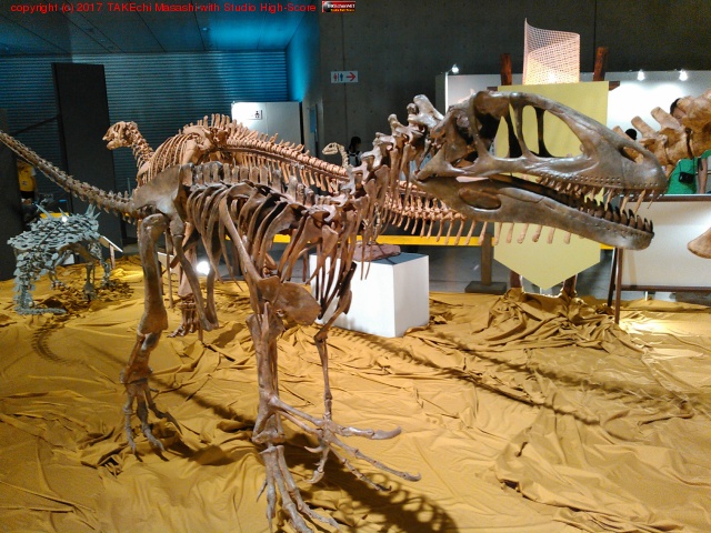 ������εŸ