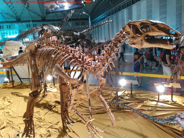 ������εŸ