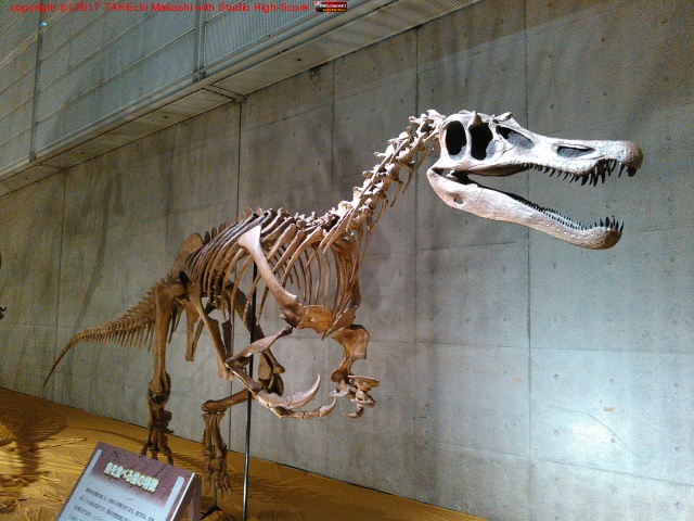 ������εŸ