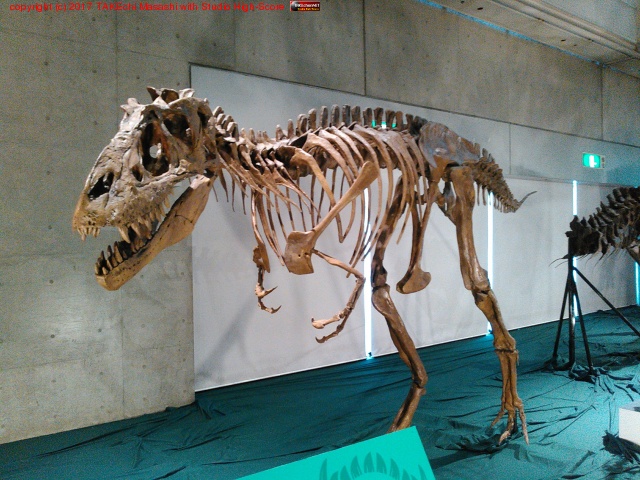 ������εŸ