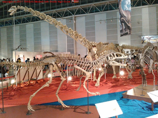 ������εŸ