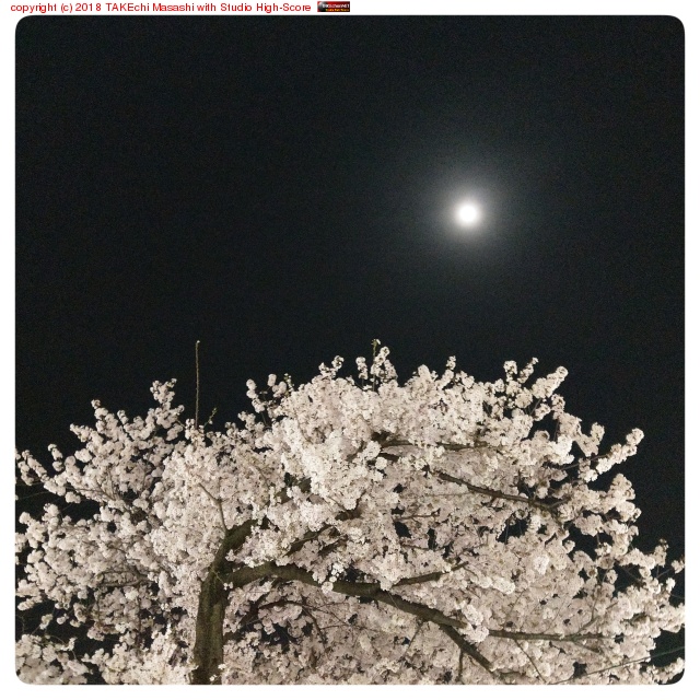 ���ȥ��ä����꤫��Ⱦ�� #cherry #fat #halfmoon