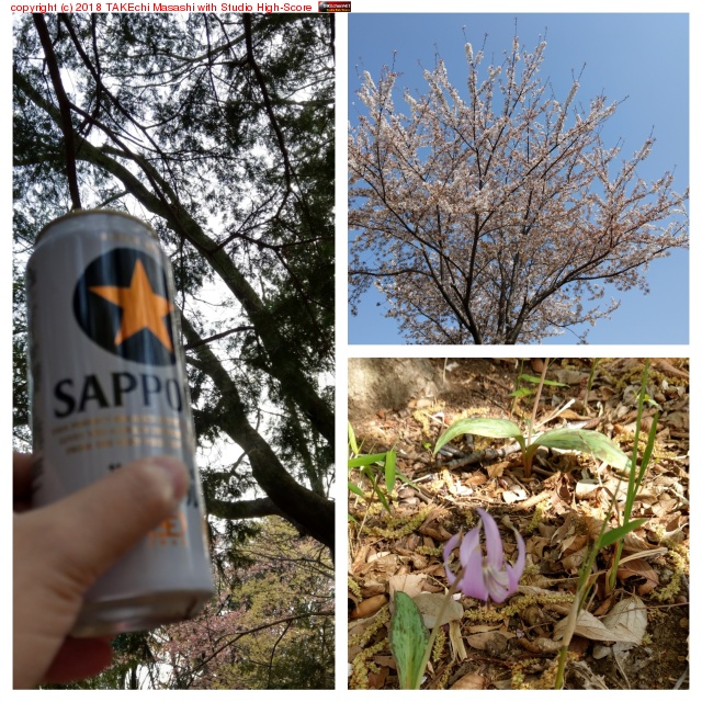 ��ʴ�ᡣ�����θ�ϰ��ߤޤ���!! #�ӡ��� #�������� #��