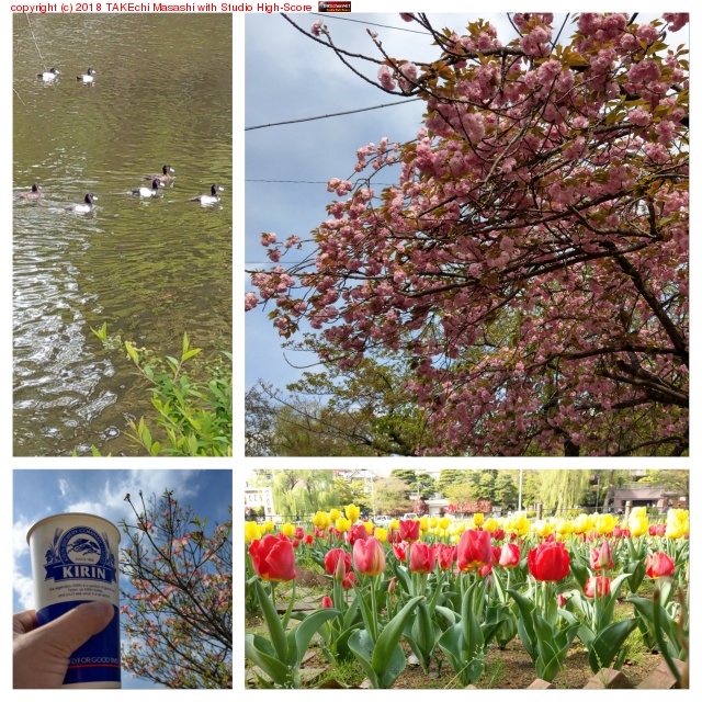 �п�����໶��