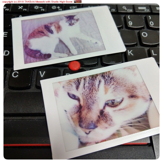 �ߤߤ����μ̿������ʤ� & ���ޥ� de ��������ư���ǧ #�ͤ���������