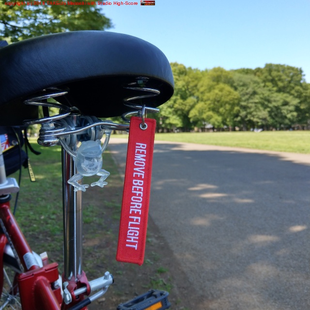 �����󥳤ʤΤǥӡ���Ϲ����Ƥ���