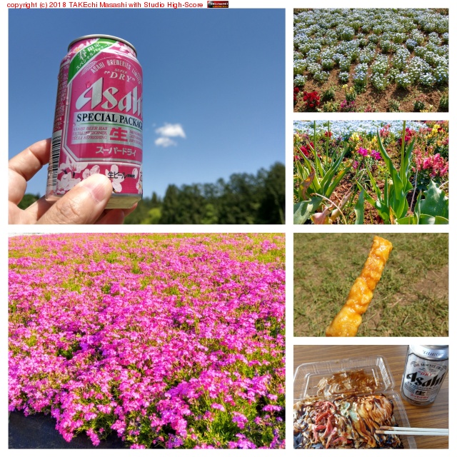 ���� �Ǻ� ���顼����