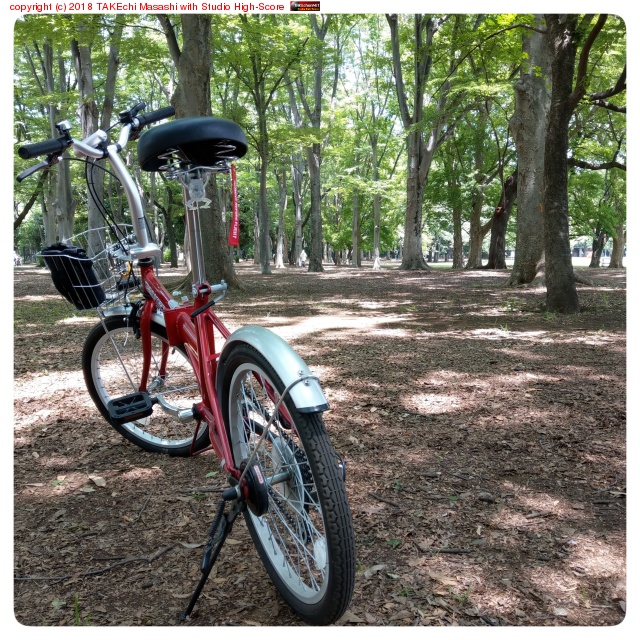 ŷ���������Τǥ����󥳤� Go!