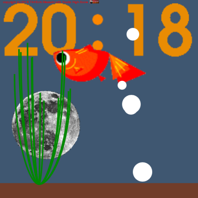 ��������ǤϺ���������!#fullmoon #kingyo http://www.takechon.net/e.g.Kingyo/