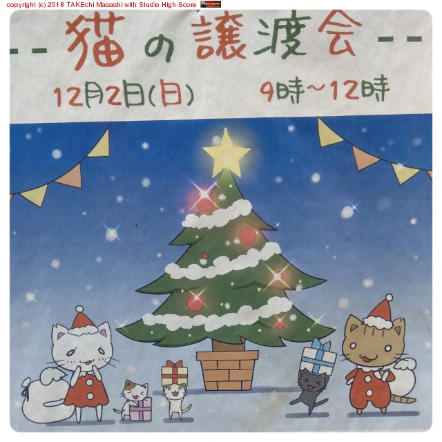 ��̿�νв񤤤ʤ餺