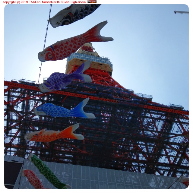 �������ȸ�Τܤ� #������ #��Τܤ�