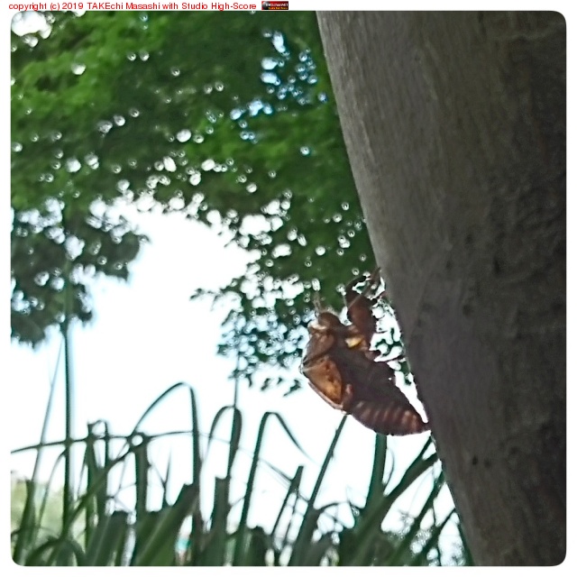 ���ȴ����