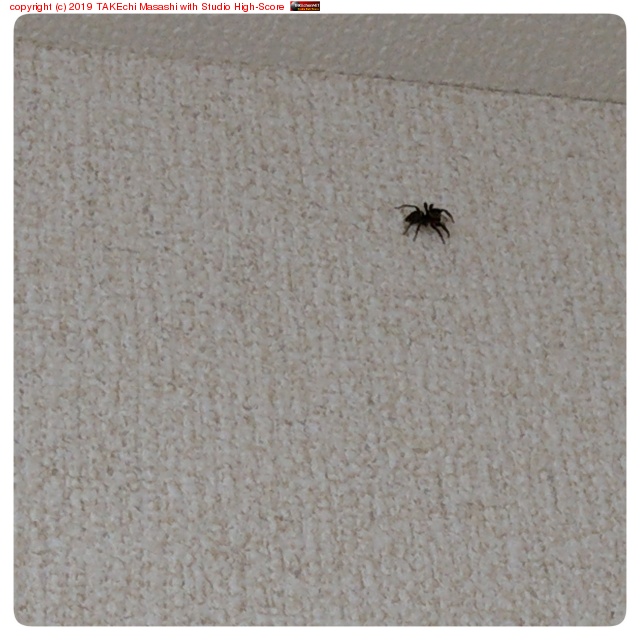 ���������椬�ȤǤ��塹�ϥ��ȥꥰ��򥿥�����̾�դ��ư��ǤƤ��롣