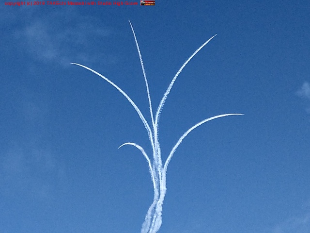 ���������������Ϥޤ��!!