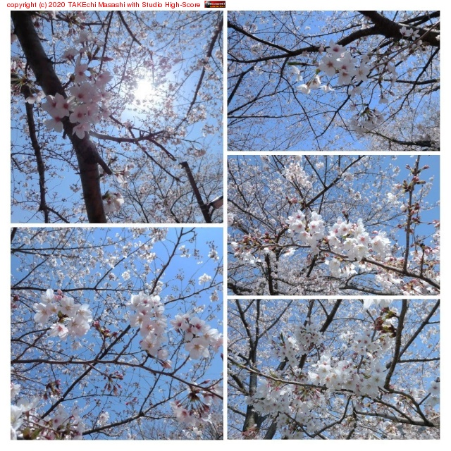 �ƥ����ˤ�뱿ư��­��äȵ�ʬž�����ͤ���٤߻��֤϶����⡣��������ˤʤäƤ���Τ˳��м���������? #��