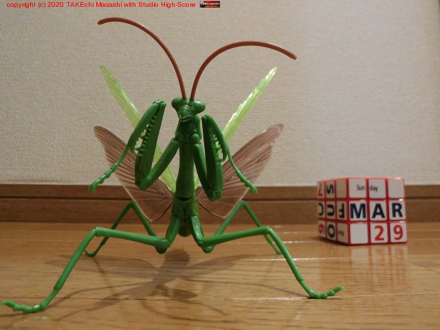 ���������Ȥߡ������ĤϿ����ɤäƻž夲������ #���ޥ���