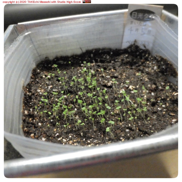 �ФƤ���! �ФƤ���!!