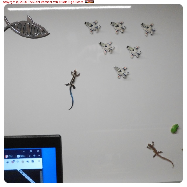 ���(��̩����)���ɰ��̤˥ۥ磻�ȥܡ��ɤ�Ƴ��! �ҤȤޤ��ȼ��Сɤ�Ž���դ��롣�饯�����繥��!!