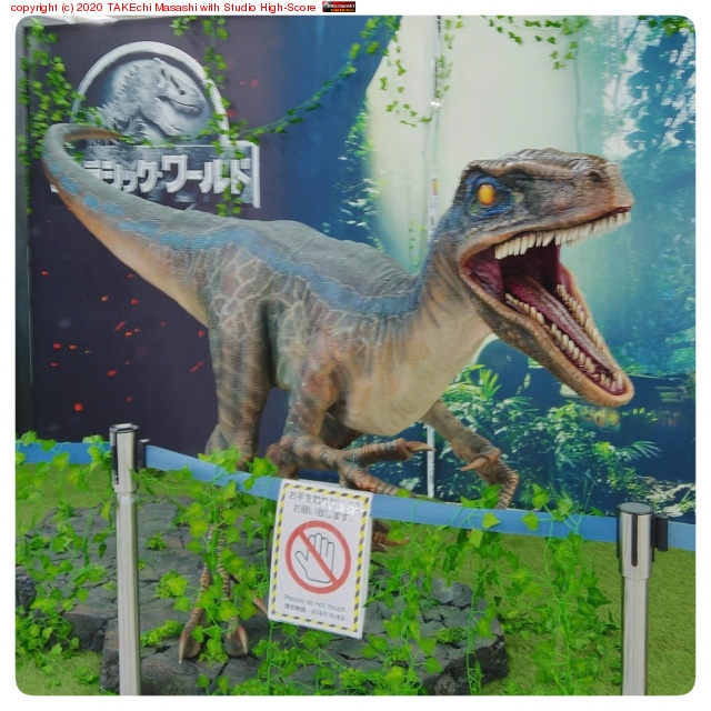 ���ͤ˶�ε�˽Ф��魯��