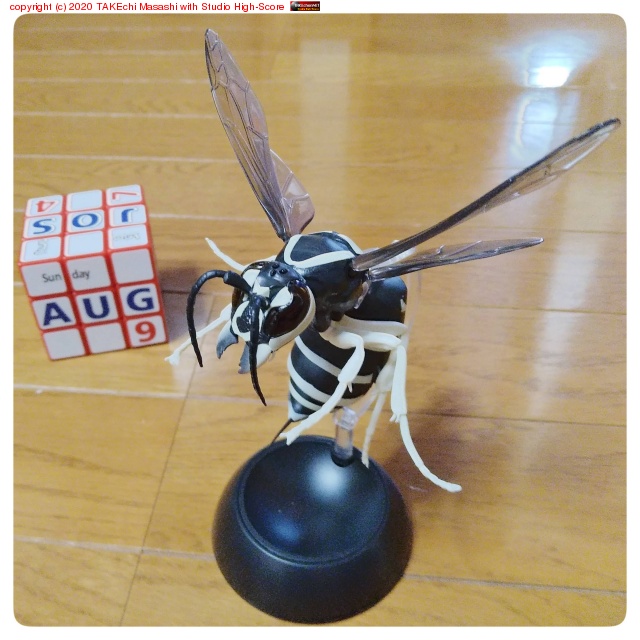 ������ݥ��������Х�! ���礤�ȥϥ�������Υ���������Х��������δ���������������Х����ߤ����ä���