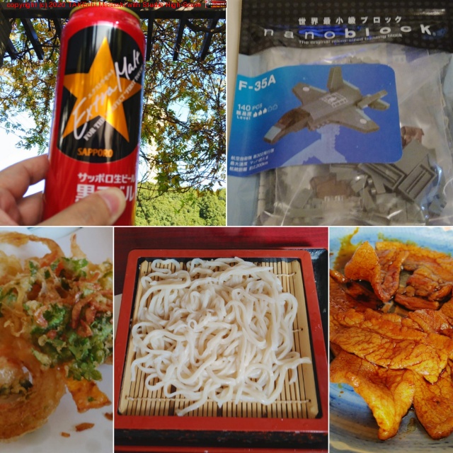 ���ɤ󿩤٤ƥӡ������ǥʥΥ֥��å��㤦 F-35!