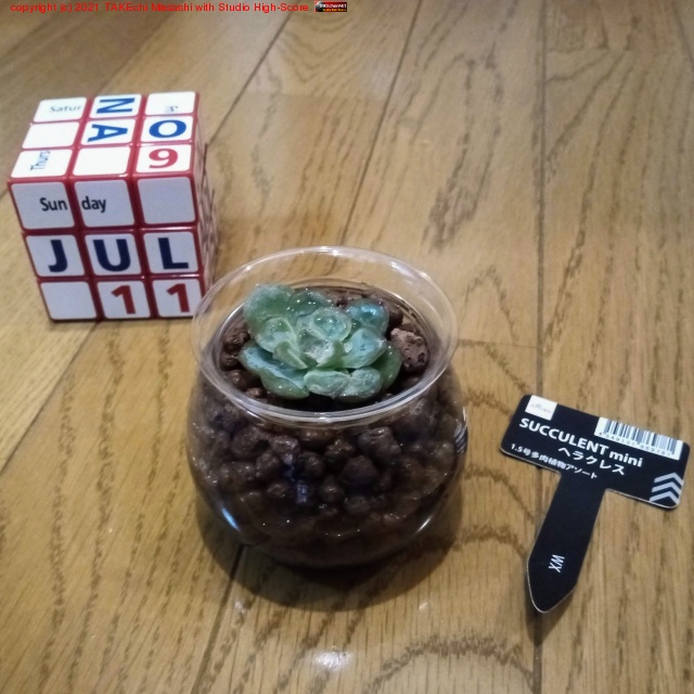 ���åץ�����(���꡼?)���ƴ��̼�ˤ��ä��Τǥ��������δ��տ�ʪ(�ߥ�)�򿢤���