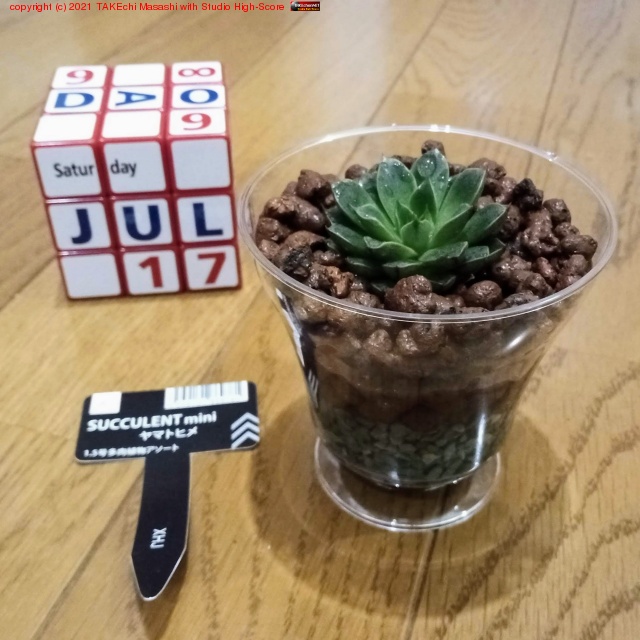 ���åץ������ƴ狼���100�Ѵ��տ�ʪ������!