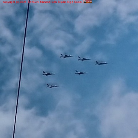 �֥롼����ѥ륹�����Ϥˤ��ܷ⡣