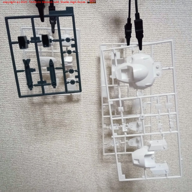 �����äѤ�֤��ޤ��Ҥ������פ���֤�������äƴ����档