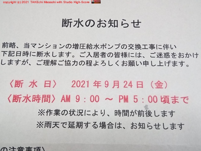 ����!? �ƥ������ƽмҤ��褦����? ���ä�ͭ��ٲˤȤ���? �Ȼפ���ͭ�٤ϲ��˻�äƤ��ʤ������å��������ʤäƤ���!!