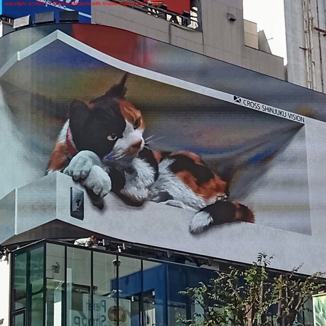 ���ɤε���3D�ˤ��!! ���ư��⥢�åפ���!