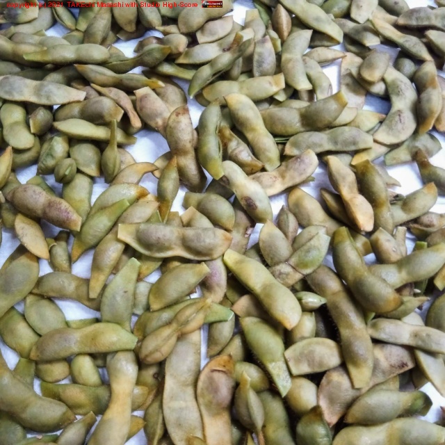 �����Τ���ꤵ�󤫤�ð�Ȥι�Ʀ������ء����꤬�Ȥ��������ޤ�!! ��®��觤ǤƤ��������ޤ�! Ǯ����̣���ե�������������ʤ��ȥޤ�ʤ�!!