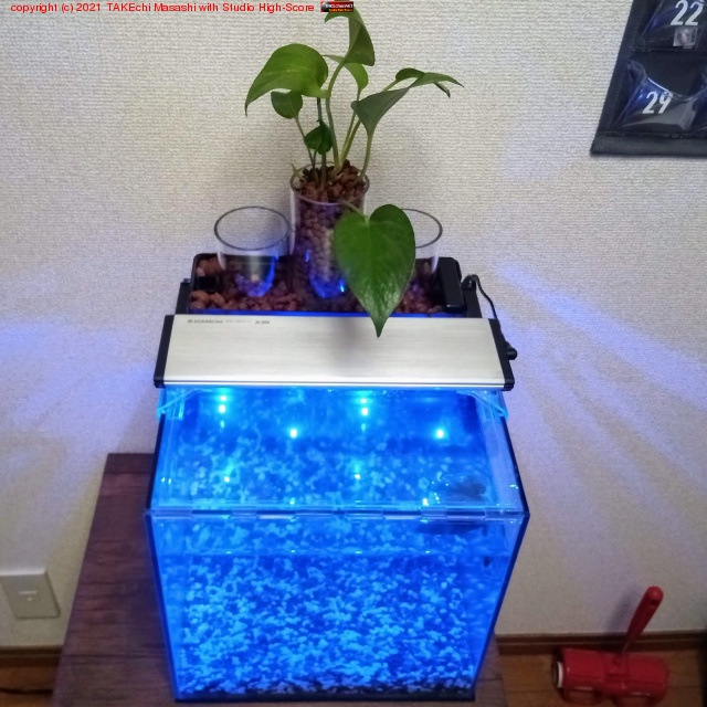 ��������Ƴ���ײ�������𡣥���ե�����äƤ�������? ���/����Ρ��Сɤ�ڤ���ͽ�ꡣ���ΰ�ĤȤ��Ƹ������֤Υݥȥ����֤��Ƥߤ롣����ϲ���ʤ����� LED ����(��)�����������¤ࡣ