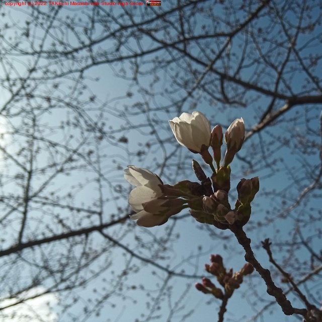 �����ᤤ�Τ��餭�Ϥ�Ƥ�